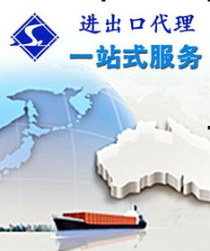 中小企業(yè)代理商服務 國內貿易代理與出口貿易服務全面指南